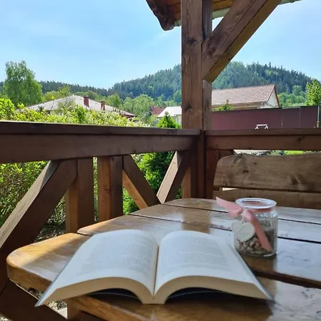 Pod Klonem Z Balia I Sauna Holiday home